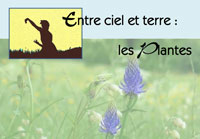 6 7 juin15
