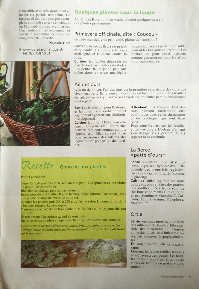 plaisir gastronomie