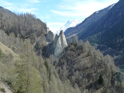 ossona